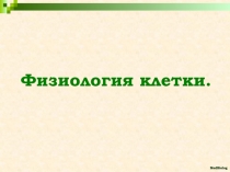 Физиология клетки