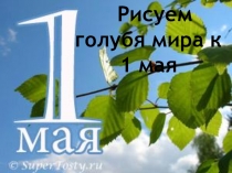 Рисуем голубя мира к 1 мая