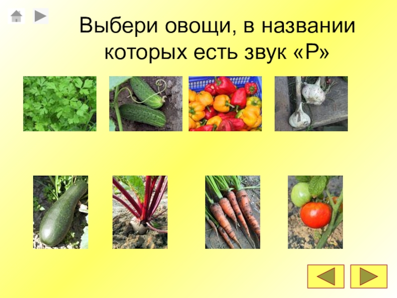 Выберите р. Овощи со звуком р. Фрукты со звуком р. Овощи в названии которых есть звук о. Продукты со звуком р.