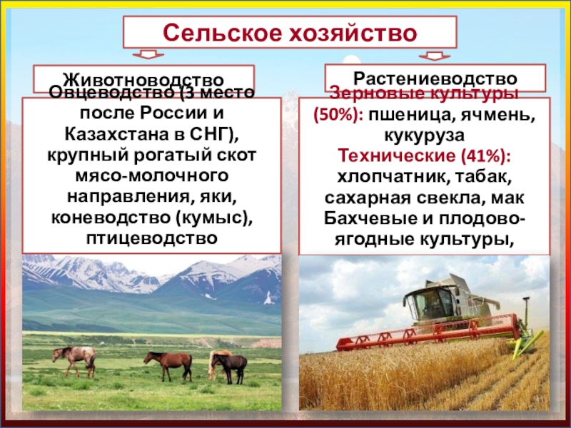 Факторы растениеводства и животноводства. География растениеводства и животноводства. Китай Растениеводство и животноводство. География растениеводства и животноводства Китая. Сельское хозяйство схема Растениеводство животноводство.