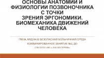 ОСНОВЫ АНАТОМИИ И ФИЗИОЛОГИИ ПОЗВОНОЧНИКА С ТОЧКИ ЗРЕНИЯ ЭРГОНОМИКИ