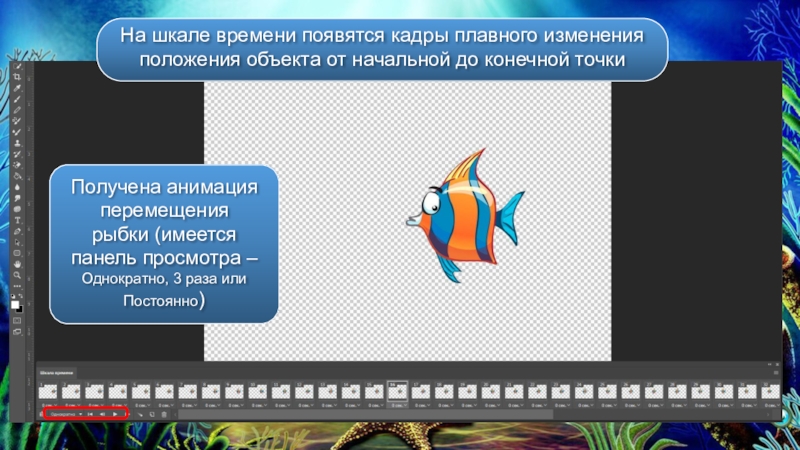 Где взять анимацию. Программа для покадровой анимации. Покадровая анимация рыбки. Рыбка покадрово. Создание покадровой анимации на уроке.