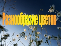 Разнообразие цветов