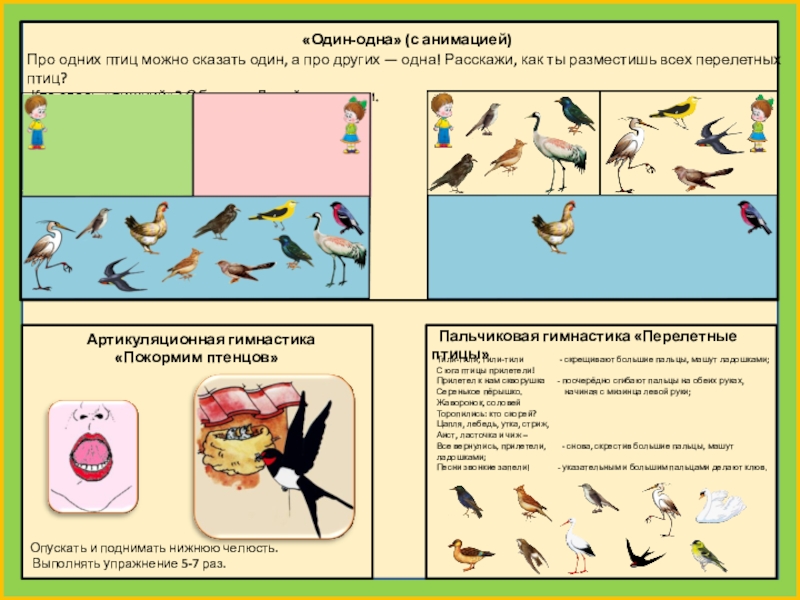 Презентация птицы средняя группа