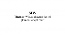 SIW Theme : “Visual diagnostics of glomerulonephritis”