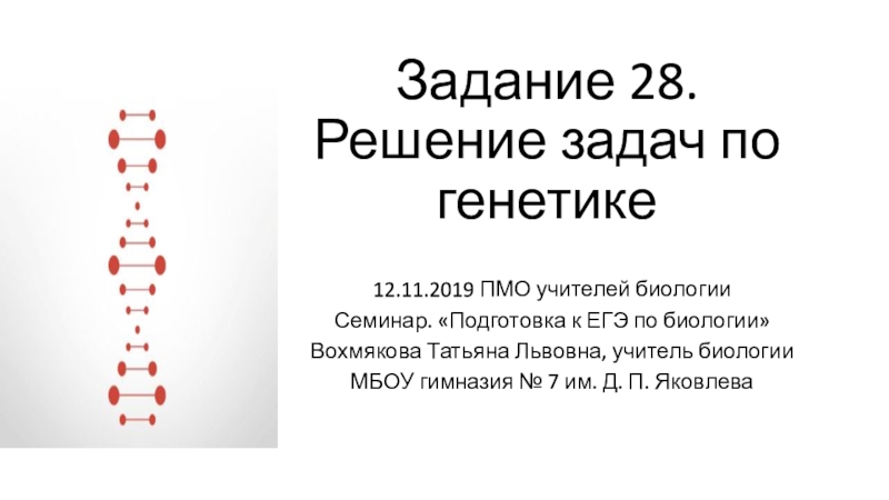 Презентация Задание 28. Решение задач по генетике