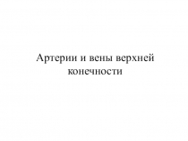 Артерии и вены верхней конечности