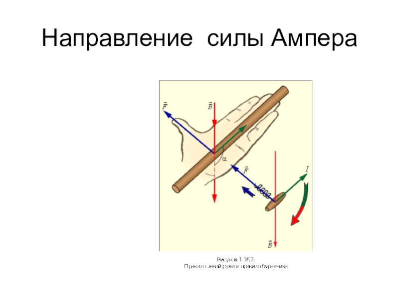 Показать направление силы ампера на рисунке