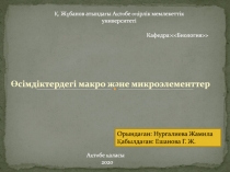 Өсімдіктердегі макро және микроэлементтер
Орындаған : Нургалиева