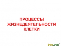 Процессы жизнедеятельности клетки