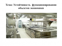Тема: Устойчивость функционирования объектов экономики