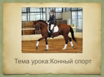 Тема урока: Конный спорт