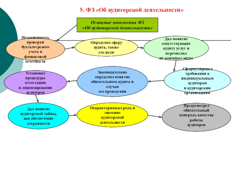 Аудит сфера. Сфера деятельности в бухгалтерии.