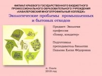 ФИЛИАЛ КРАЕВОГО ГОСУДАРСТВЕННОГО БЮДЖЕТНОГО ПРОФЕССИОНАЛЬНОГО ОБРАЗОВАТЕЛЬНОГО