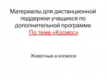 Материалы для дистанционной поддержки учащихся по дополнительной программе По