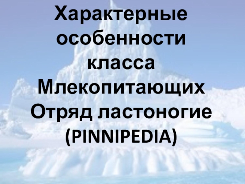 Характерные особенности класса Млекопитающих Отряд ластоногие (PINNIPEDIA)