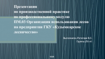 Презентация по производственной практике по профессиональному модулю ПМ.03
