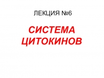 ЛЕКЦИЯ № 6