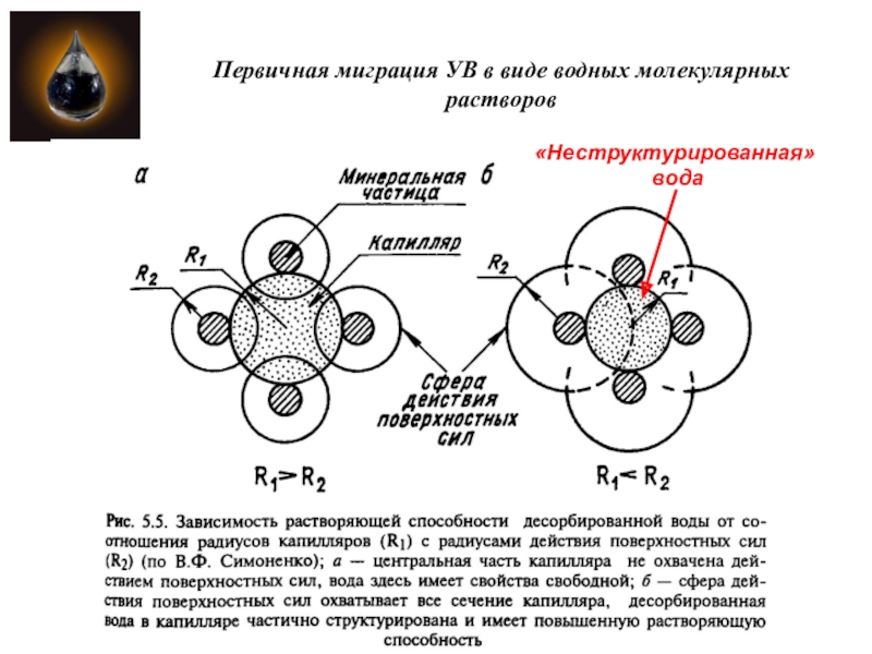 Виды растворов молекулярные. Первичная миграция. Первичная миграция нефти. Неструктурированная вода. Структурированная и неструктурированная вода.