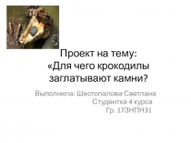 Проект на тему: Для чего крокодилы заглатывают камни?