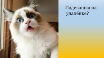 Издевашка на
удалёнке?