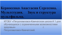 Керносенко Анастасия Сергеевна. Мультстудия. З в у к и с т р у к т у р а м у л