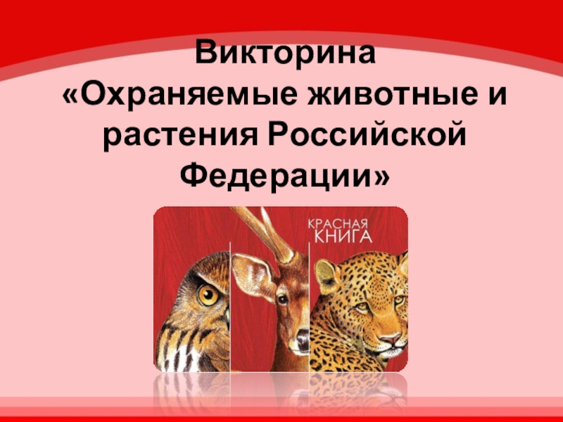 Викторина  Охраняемые животные и растения Российской Федерации