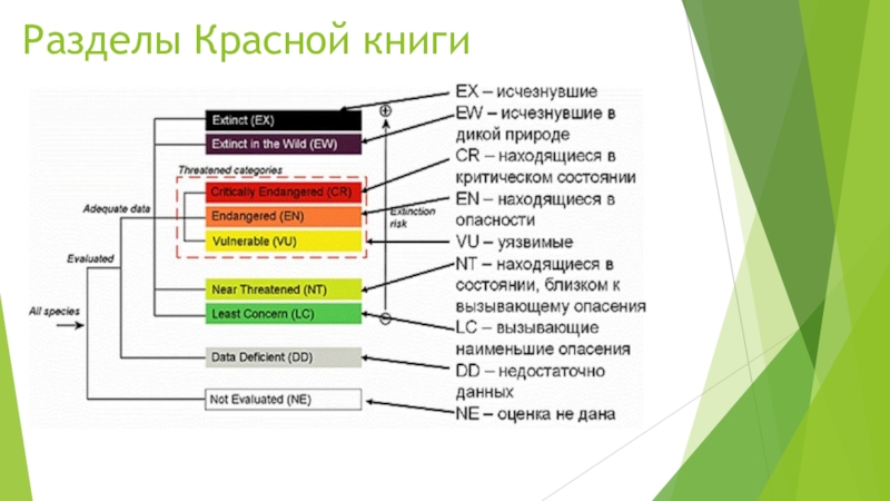 Разные цвета красной книги