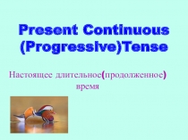 Present Continuous ( Progressive ) Tense