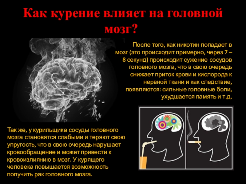  Как курение влияет на головной мозг? 		Так же, у курильщика сосуды головного мозга становятся слабыми и теряют