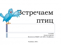 Встречаем птиц
