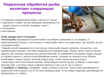 Первичная обработка рыбы включает следующие процессы