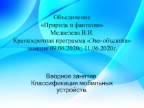 Объединение Природа и фантазия Медведева В.И. Краткосрочная программа