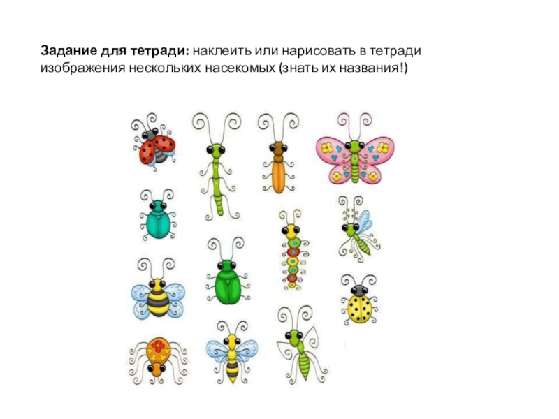 Практическая работа насекомые. Задание для 1 класса маленькие в тетрадь клеить. Наклеим или наклеем. Задание наклеить в тетрадь и подписать сказки. Подобрать и приклеить в тетрадь картинку комары распечатать.