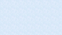 Портфолио