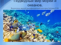 Подводный мир морей и океанов. Воспитатель высшей квалификационной категории