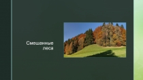 Смешанные леса
