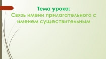 Тема урока: Связь имени прилагательного с именем существительным