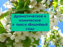 Драматическое и комическое
в пьесе Вишнёвый сад