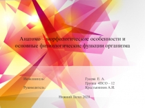 Анатомо – морфологические особенности и основные физиологические функции