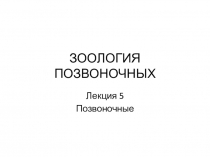 ЗООЛОГИЯ ПОЗВОНОЧНЫХ