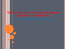 Аппликация из природного материала
к блоку занятий