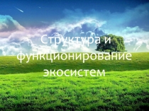 Структура и функционирование экосистем