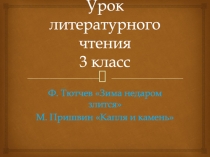 Урок литературного чтения 3 класс