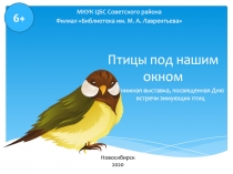 Птицы под нашим окном