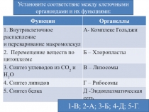 Функции
Органеллы
1. Внутриклеточное расщепление  и переваривание