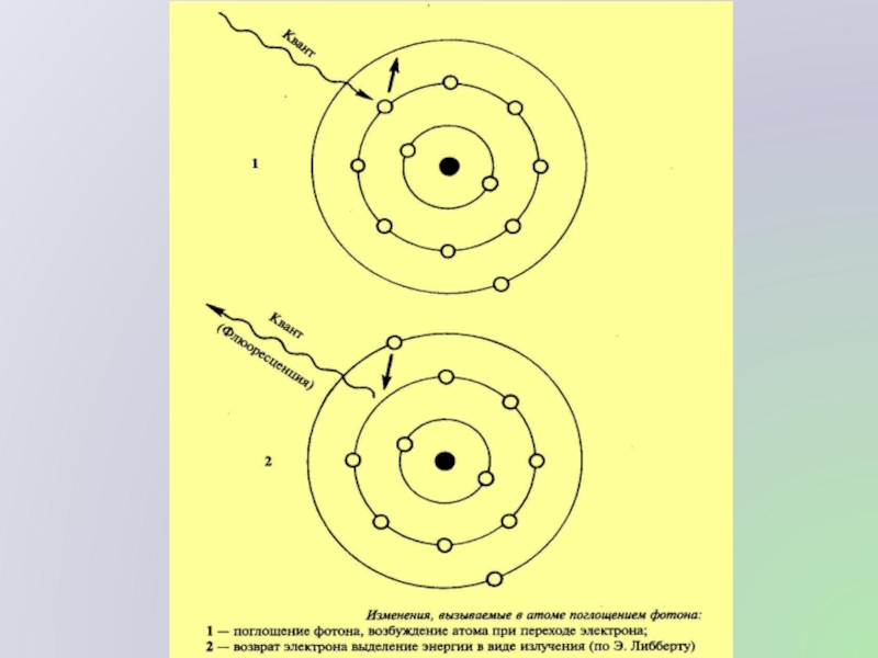Возбужденный атом. Поглощение фотона электроном. Поглощение Кванта. Поглощение Кванта света. Поглощение атома.