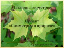Наглядна геометрия
