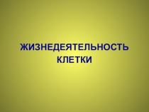 ЖИЗНЕДЕЯТЕЛЬНОСТЬ