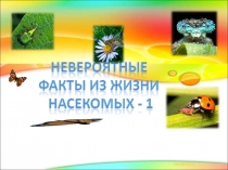 интересные факты о насекомых